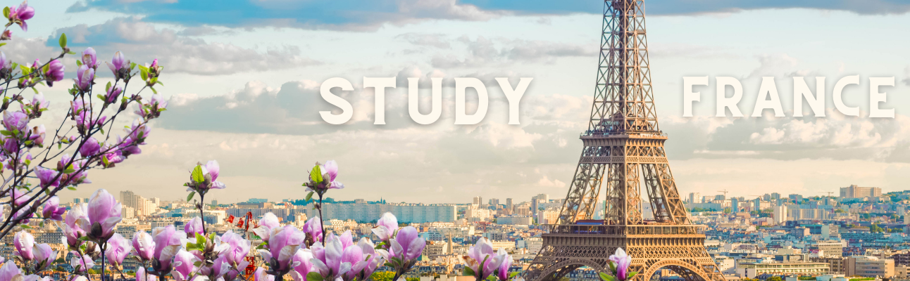 study in france