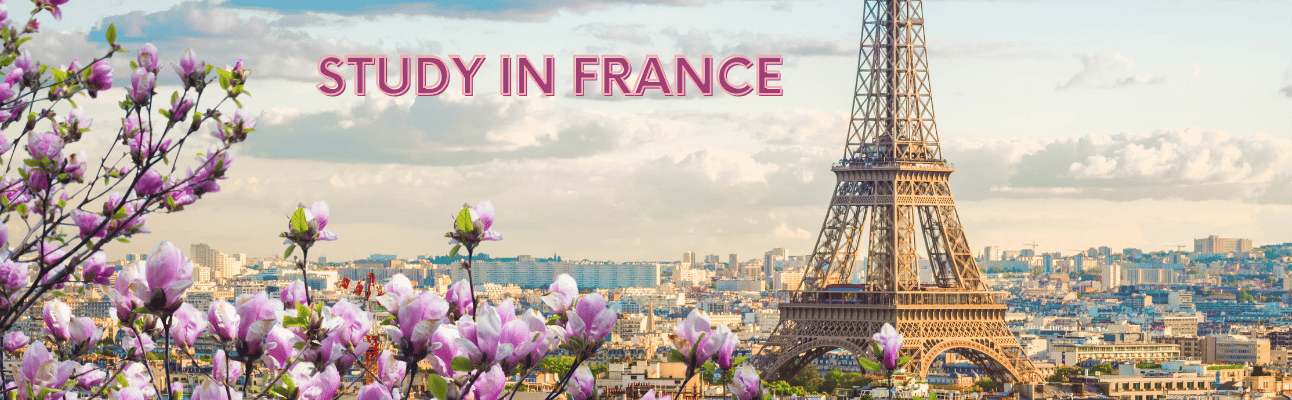 cover How to Make the Most of Your Study Abroad Experience in France